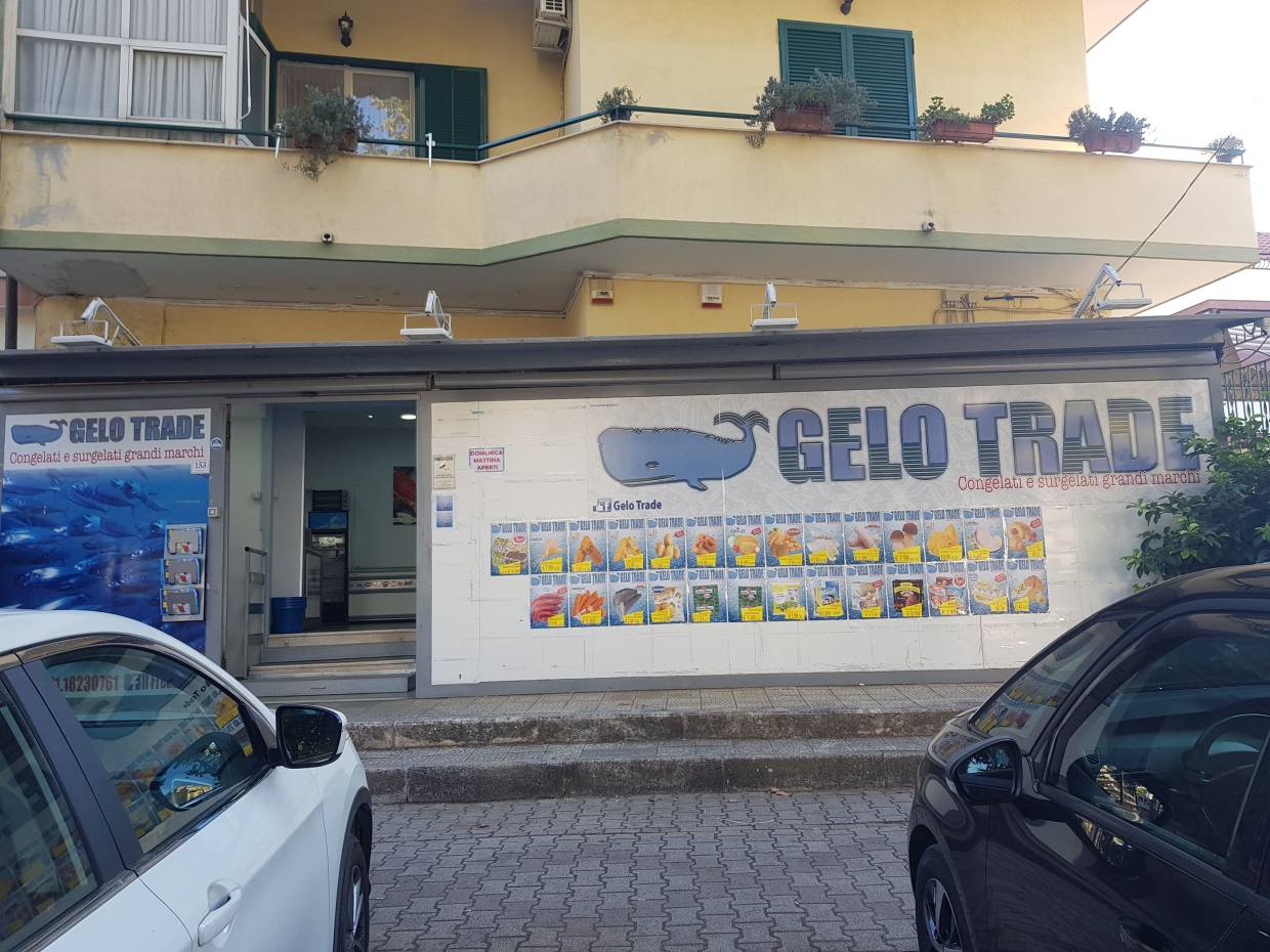 Locale Commerciale Casalnuovo di Napoli NA1353674